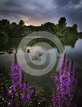 Silence before thunderstorm