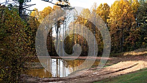 Silent and Restful Pond Nestled Among the Beautiful Tree of Autumn