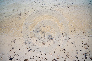 Silent sea waves crashing on a beach at Phi Phi Islands in Thailand