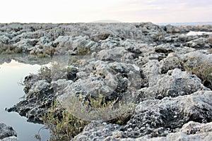 Silent stones, quiet water, sparse vegetation and the sea in the distance.