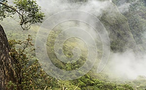 Silent valley in Kodaikanal