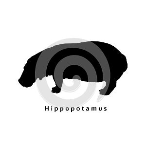 Silhoette hippopotamus, isolated animal wild life vector shape, illustration