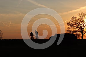 Silhouette z závodní cyklisté na zlatý západ slunce nebe 
