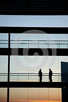 Silhouette photo