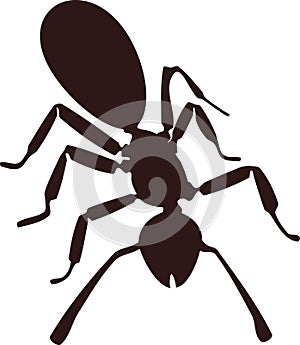 Silhouette of abstract cartoon ant isolated on white