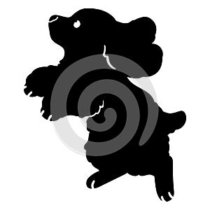 Silhouette of adorable simple English Cocker Spaniel jumping in side view with details