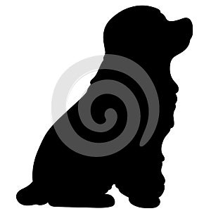 Silhouette of adorable simple English Cocker Spaniel sitting in side view