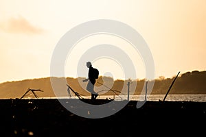 silhouette of an adventurer walking by the seashore and taking pictures, sunset view. motivational concept