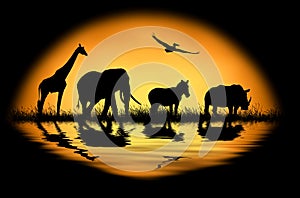 Silhouette african animals on the background of sunset