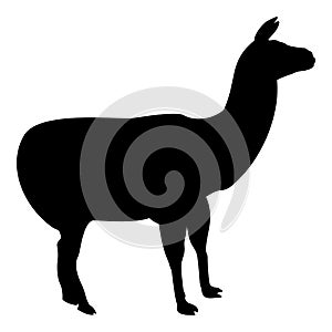 Silhouette alpaca llama lama guanaco black color vector illustration flat style image