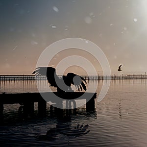 Silhouette of an angel sitting on a jetty at dusk