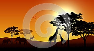 Silhouette animals on savannas in the afternoon