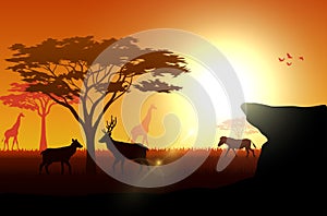 Silhouette animals on savannas in the afternoon