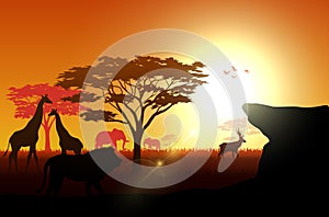 Silhouette animals on savannas in the afternoon
