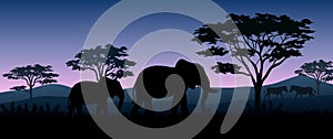 Silhouette animals savannas in the night