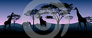 Silhouette animals on savannas in night