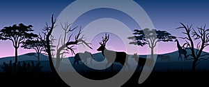 Silhouette animals savannas in the night