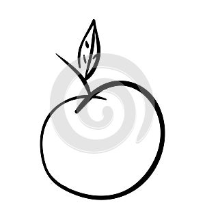 Silhouette apple fruit with leaf icon flat