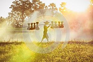 Silhouette of asian farmer Bearing seedlings of rice to plant, Asian farmer Bearing rice seedlings