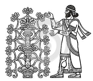 The silhouette of Assyrian deity collects fruits from a fantastic tree.