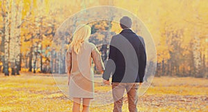 Silhouette back of happy young couple together, man and woman holding hands walking in autumn park, rear view