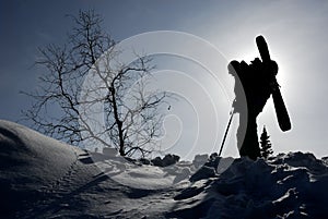 Silhouette of backcountry skier