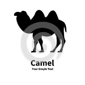 Silhouette of a Bactrian camel