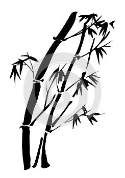 Silhouette bamboo branches isolated on the white background. Vector