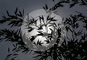 Silhouette of bamboo leaves against the Sun