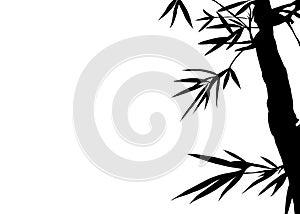 Silhouette of Bamboo on White Background. A stark black silhouette of bamboo branches and leaves set against a plain white