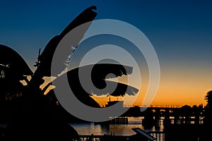 Silhouette of banana plant leaves against sun set sky background