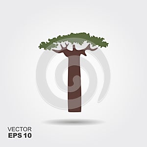 Silhouette baobab tree. Flat icon with shadow