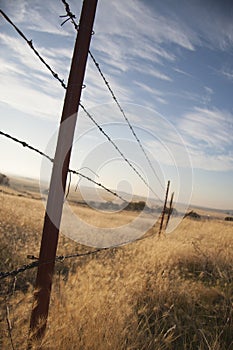 Silhouette Barbed Wire Fence