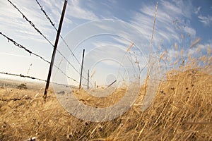 Silhouette Barbed Wire Fence