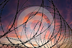 Silhouette of a barbed wire fence steel jail