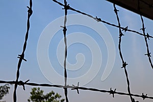 Barbed wire silhouette