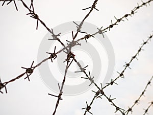 Silhouette of the barbed wire on white background