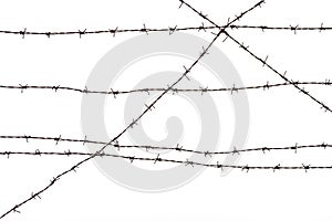 Silhouette of the barbed wire on white background