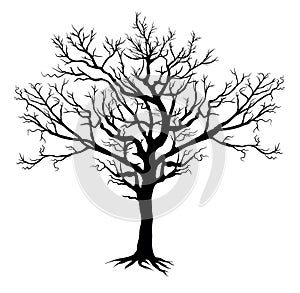 Silhouette Bare Tree, Vector Illustration