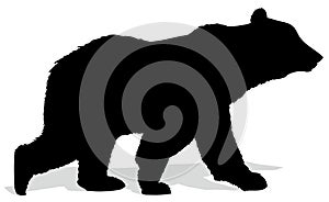 Silhouette of bear.