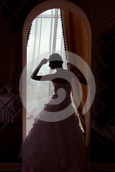 A silhouette of a beautiful bride