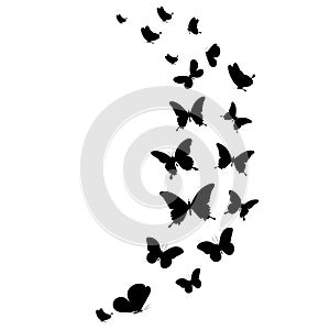 Silhouette beautiful butterflies, isolated on transparent background vector