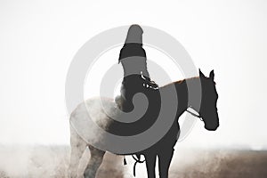 Silhouette of a beautiful girl riding a horse on a white background