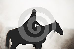 Silhouette of a beautiful girl riding a horse on a white background