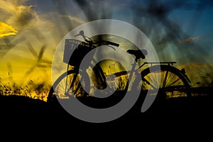 Silhouette of bicycle retro style at sunset