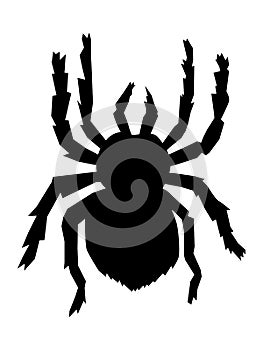 silhouette of big scary spider