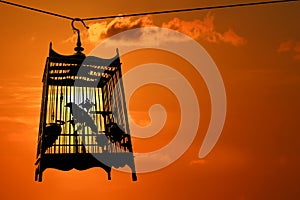 Silhouette of Bird in the cage with red sky sunset background
