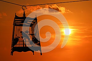 Silhouette of Bird in the cage with red sky sunset background