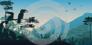 Silhouette of bird in evening