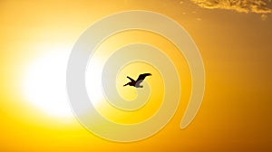 silhouette of a bird flying in front of the sun